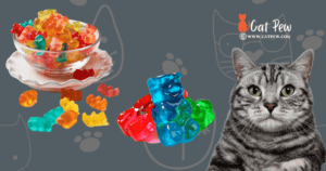 Can Cats Eat Gummy Bears