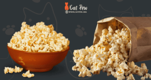 Can Cats Have White Cheddar Popcorn