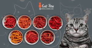 Can Cats Eat Takis