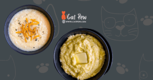 Can Cats Eat Grits