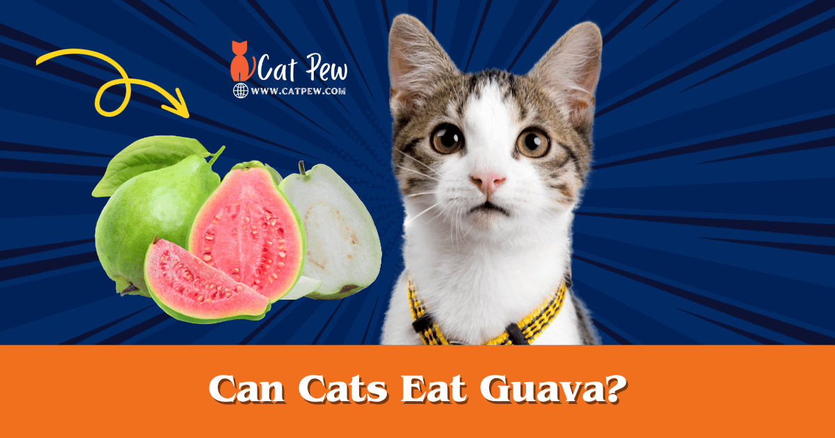 Can Cats Eat Guava