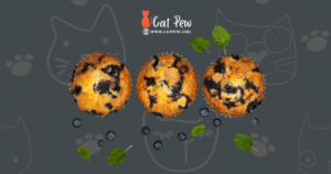 Can Cats Eat Blueberry Muffins
