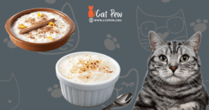 Can Cats Eat Rice Pudding