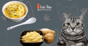 Can Cats Eat Instant Mashed Potatoes