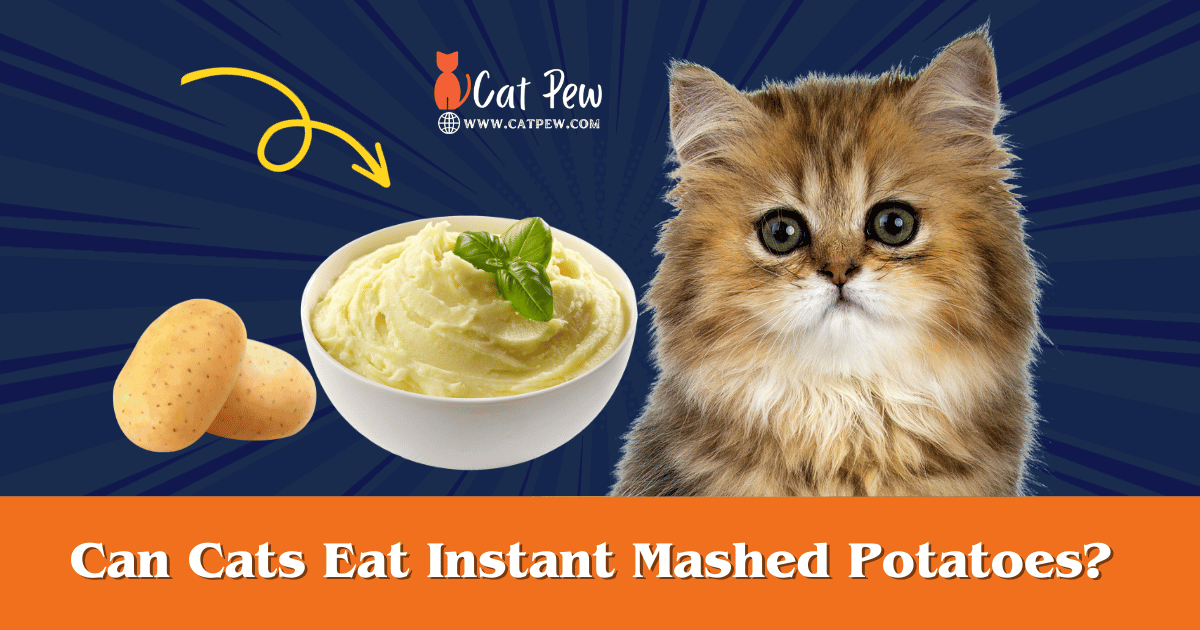 Can Cats Eat Instant Mashed Potatoes