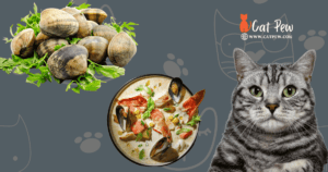 Can Cats Eat Clam Chowder?