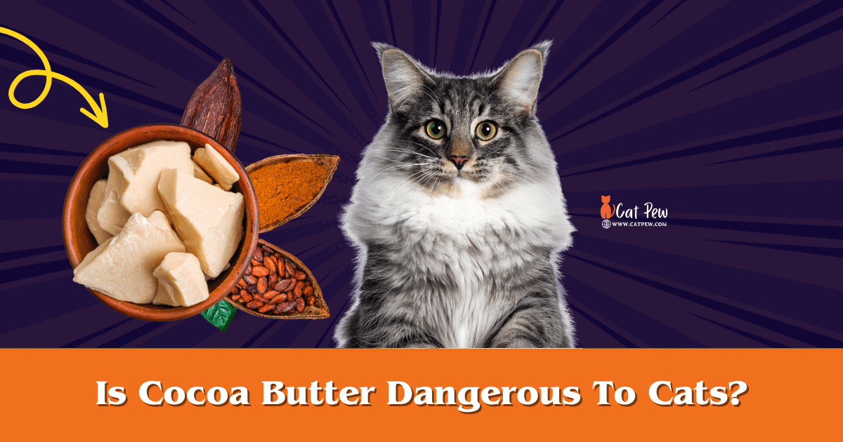 Is Cocoa Butter Dangerous To Cats