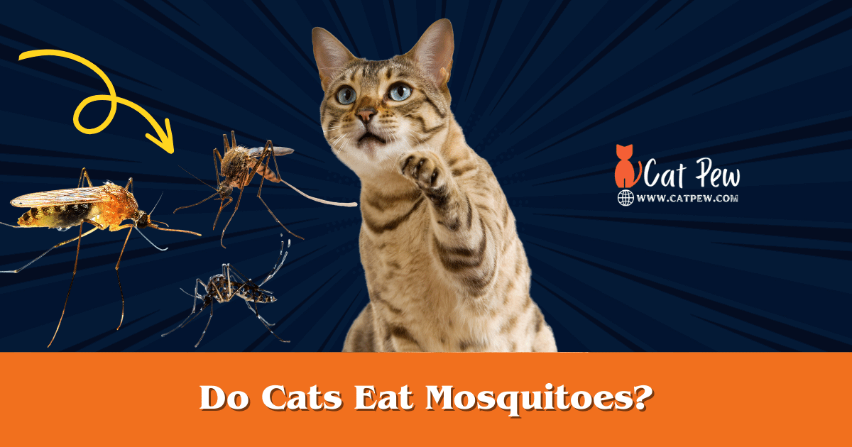 Do Cats Eat Mosquitoes