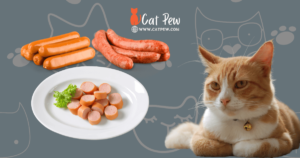 Can Cats Eat Vienna Sausage