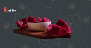 can cats eat dragon fruit