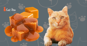 Can Cats Eat Caramel