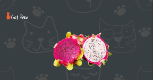 can cats eat dragon fruit