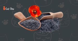 can cats eat poppy seed