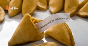 can cats eat fortune cookies