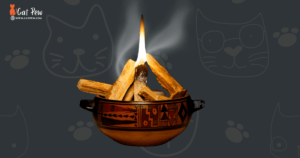 Is Palo Santo Safe For Cats