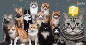 How Many Cats Are In The World 2023