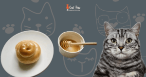 Can Cats Eat Honey Buns