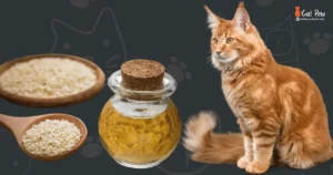 Can Cats Eat Sesame Oil