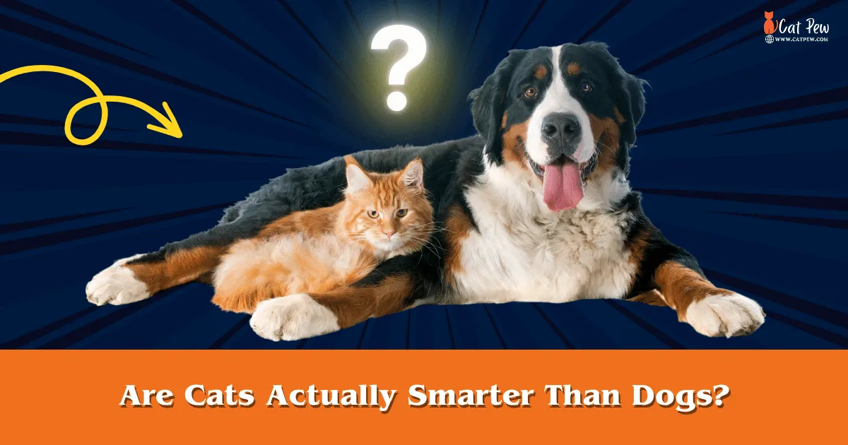 Are Cats Actually Smarter Than Dogs