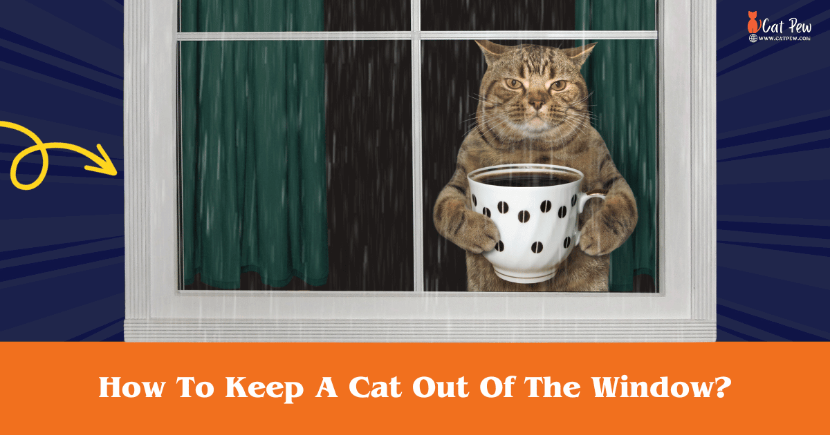 How To Keep A Cat Out Of The Window