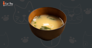 Can Cats Have Miso Soup