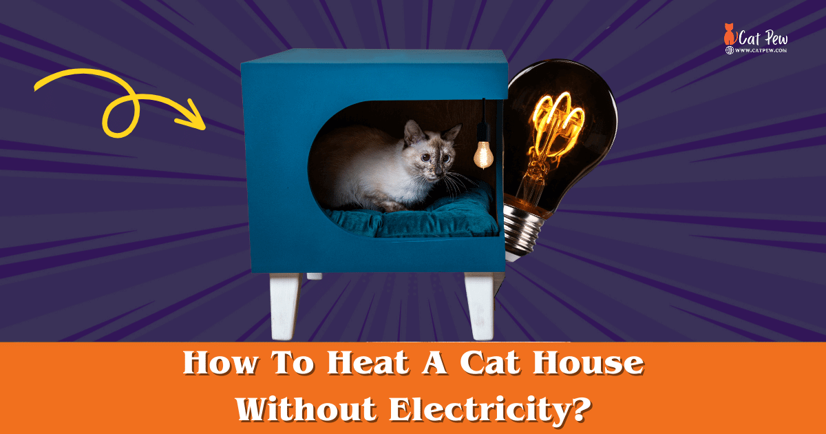 How To Heat A Cat House Without Electricity