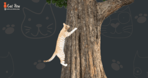 Why Was The Cat Afraid Of The Tree