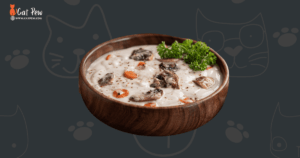 Can Cats Eat Cream Of Mushroom Soup
