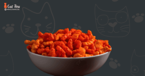 Why Does My Cat Like Hot Cheetos