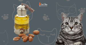 Is Argan Oil Safe For Cats