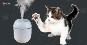 Are Pura Scents Safe For Cats