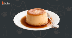 Can Cats Eat Flan