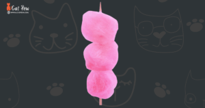 Can Cats Eat Cotton Candy