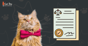 How to Legally Register a Cat Without Papers