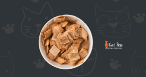 Can My Cat Eat Cinnamon Toast Crunch