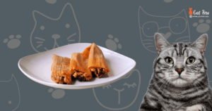 Can Cats Eat Tamales