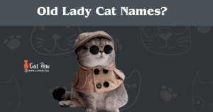 Old Lady Cat Names