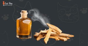 Is Palo Santo Safe For Cats