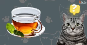 Can Cats Drink Herbal Tea