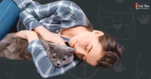 Why Do Cats Knead Their Owner